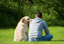 “MostrAmi Fido”, a Vetralla la manifestazione dedicata ai cani e ai loro compagni umani MostrAmi Fido