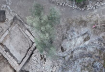 “Raccontare l’archeologia nella Tuscia” riparte con l’incontro “Alla scoperta della necropoli di Sasso Pinzuto a Tuscania