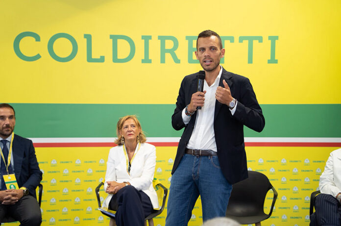 Riccardo Fargione, Direttore Fondazione Aletheia