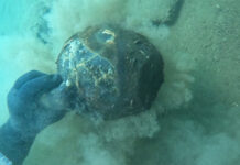 Scavo archeologico e restauro nell’insediamento protostorico sommerso nel lago di Mezzano Scavo archeologico e restauro - lago di Mezzano