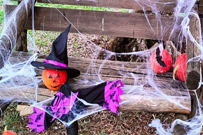 ALICENOVA_HALLOWEEN_2025