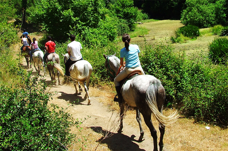 EQUIRADUNO-CAMPAGNANO-DI-ROMA