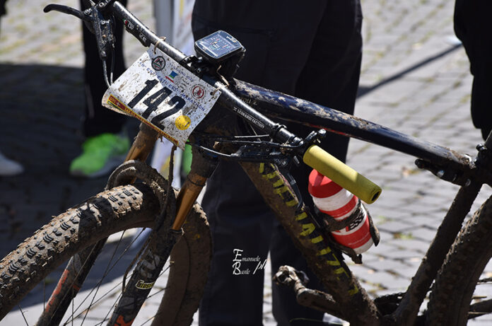 Est! Est!! Est!! Marathon