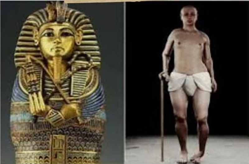 Museo Città e territorio Vetralla-mostra