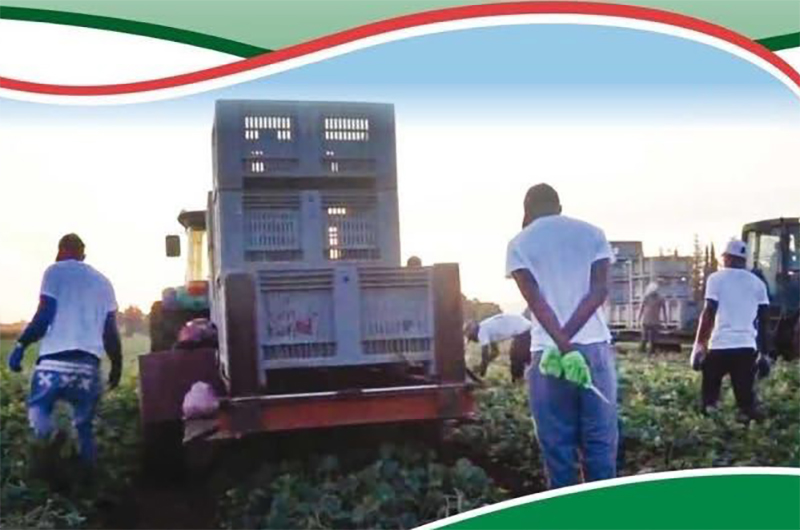 Università dei braccianti