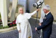 il cavallo per il Papa-@Vatican Media
