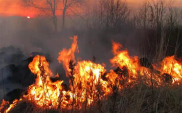 incendio-Legambiente