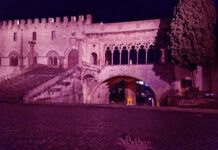 palazzo papale colorare di rosa_jpg