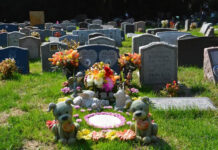 tumulazione delle ceneri degli animali