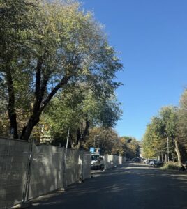 1231e771-3fd4-4a26-9627-c8c28d5a0363