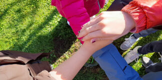 ACQUAPENDENTE_ALBERI_2