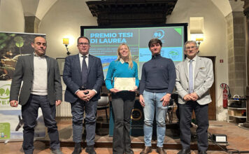 Barberina Filippone Thaulero