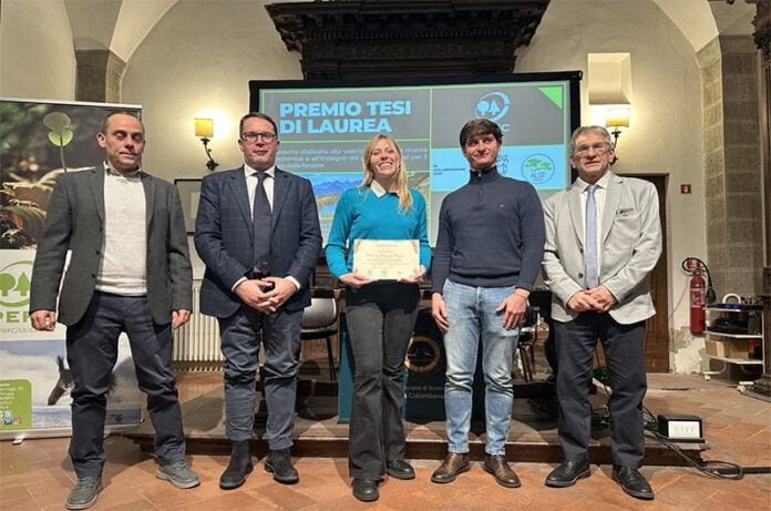 Barberina Filippone Thaulero