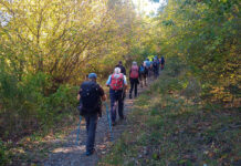 CarovanaStralunata-Cimini