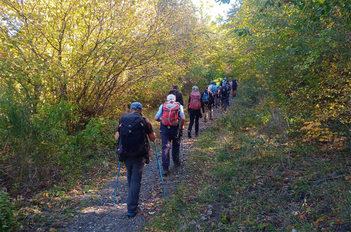 CarovanaStralunata-Cimini