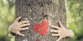 Comunità Montana Alta Tuscia Laziale dona un albero agli 8 Enti Comunitari