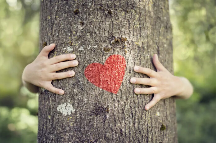 Comunità Montana Alta Tuscia Laziale dona un albero agli 8 Enti Comunitari