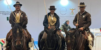 Al Galà d’Oro di Fieracavalli Verona il trio perfetto di Dario e Diego Cruciani e Ludovica Calvagno