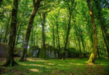 Cai e Comune di Soriano per lo sviluppo del turismo lento sul sentiero 103 invitano le strutture interessate a proporsi