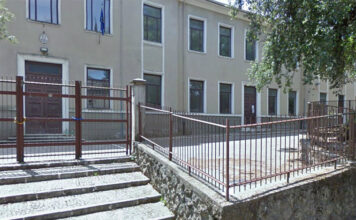 A Vignanello ennesimo episodio di violenza verso i gatti: uccisa una micetta, probabilmente presa a sassate Istituto comprensivo Vignanello