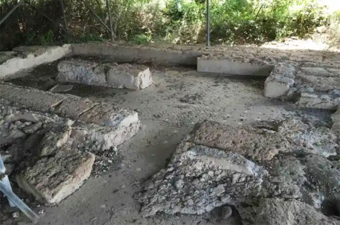 Musarna tra passato, presente e futuro