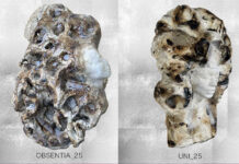 In attesa di New York, l’artista Roberta Morzetti vola sino alla Nuvola di Fuksas