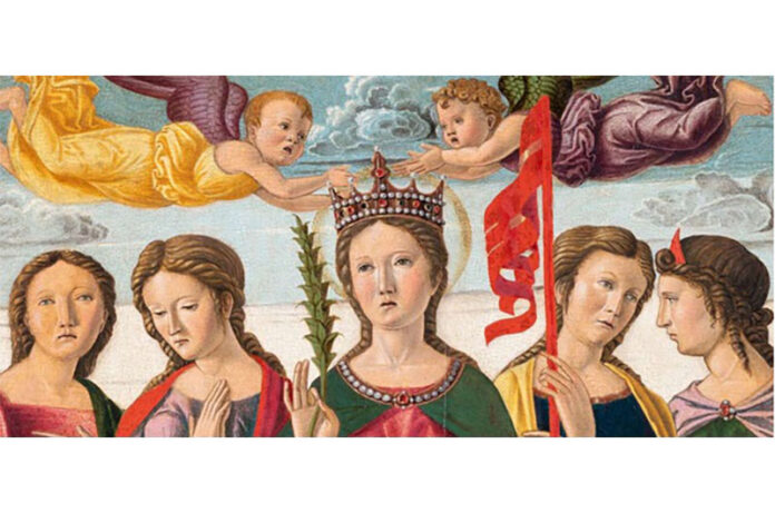 TiP-Orsola TiP-Orsola