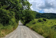 Trevinano - carta della viabilità forestale e rurale