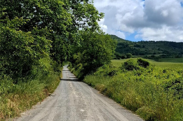 Trevinano - carta della viabilità forestale e rurale
