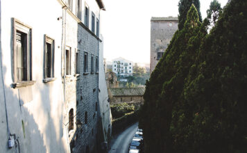 Salvatore Enrico Anselmi: Elogio dello Strapaese