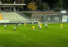 Viterbese - Leoni Gialloblù