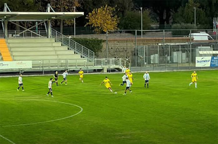 Viterbese - Leoni Gialloblù