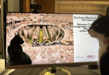 La presenza delle colonie feline nel Parco archeologico del Colosseo è documentata fin dal XX secolo colonie feline nel Parco archeologico del Colosseo