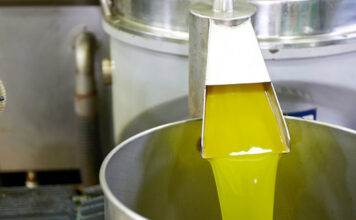 Olio, dal Ministero dell’Agricoltura nuove regole per l’etichettatura dell’extravergine olio-doliva-1