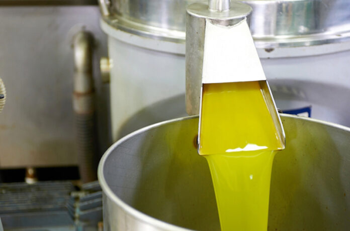 olio-doliva-1 olio-doliva-1