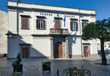 palazzocomunalecanino