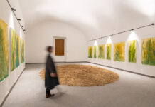 603011902_832280969620690_554906716266214292_n