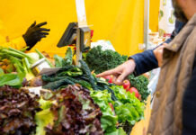 603048440_1258958072932667_7236467773619258406_n