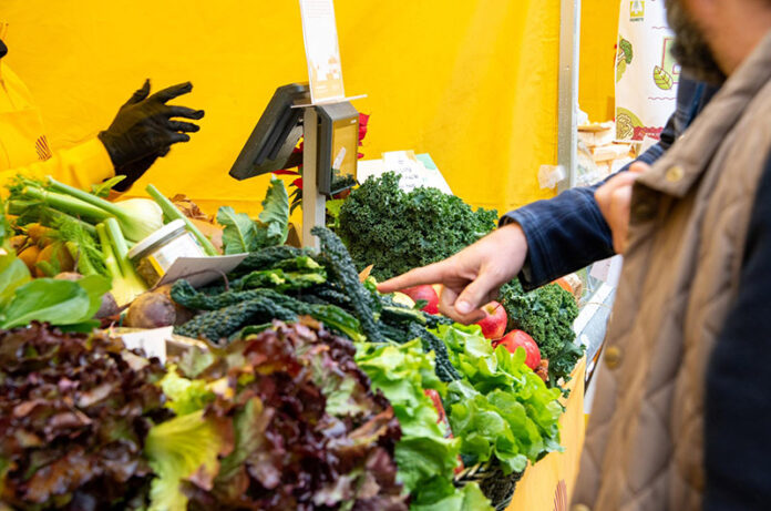 603048440_1258958072932667_7236467773619258406_n