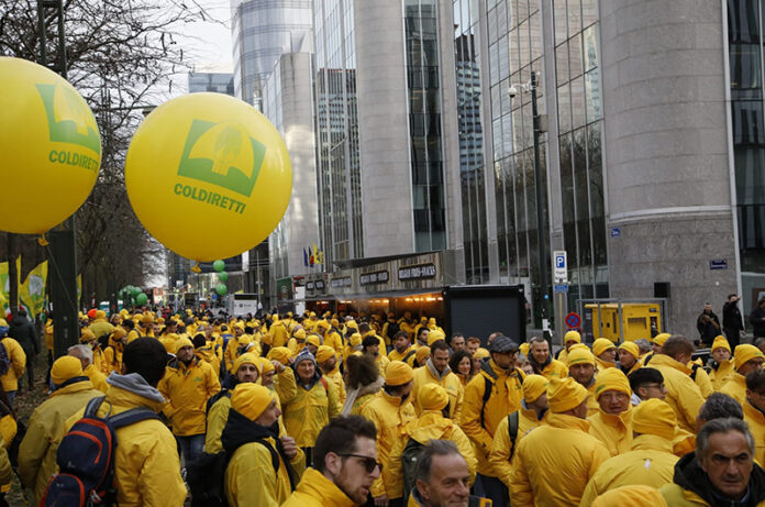 IMG-20251218-WA0096 IMG-20251218-WA0096