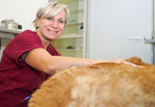 Lazio regione pet friendly