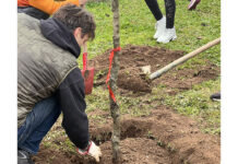 Vitorchiano, tre nuovi alberi ad alto fusto piantati al Conventino VITORCHIANO_ALBERI
