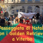 passeggiata di natale