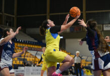 Domus Mulieris Viterbo in trasferta contro Le Frecce Romane per il primato in classifica tarroni