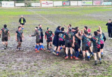 Lions Alto Lazio- Olbia