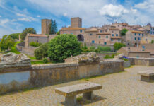 Un aiuto concreto alla cultura: il contributo della Cooperativa Lavoratori della Terra al Gruppo Archeologico di Tuscania contributo della Cooperativa al GruppoArcheologicodiTuscania