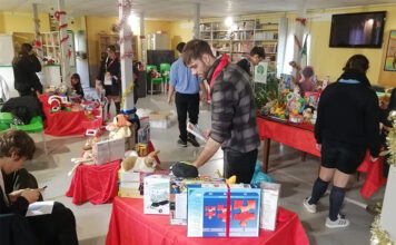 istituto cardarelli-giocattoli per semi di pace