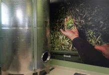 Frantoio Presciuttini-oleoturismo