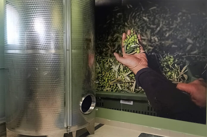 Frantoio Presciuttini-oleoturismo