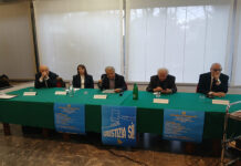 IMG-20260207-WA0033 (1)